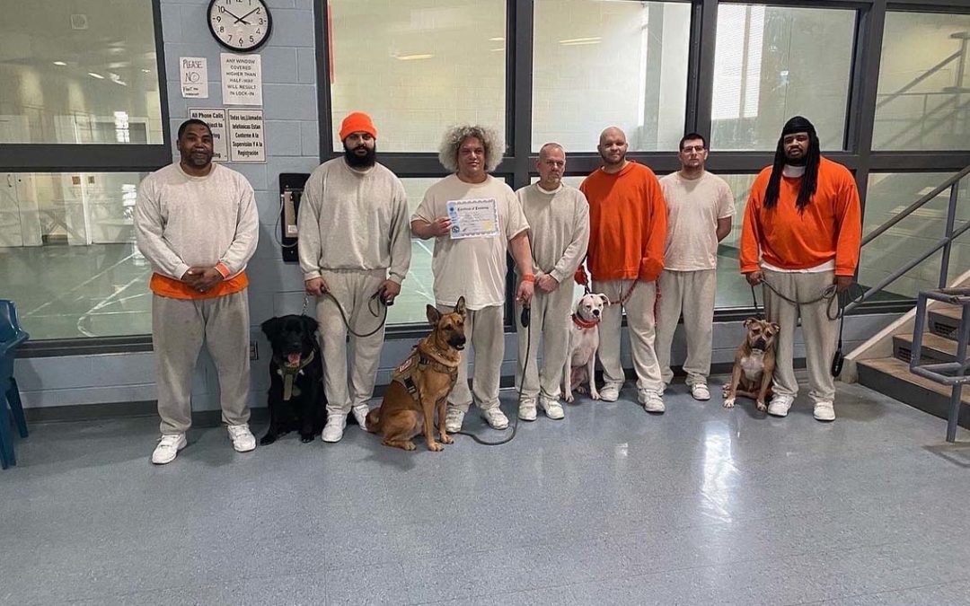 Niagara County Jail