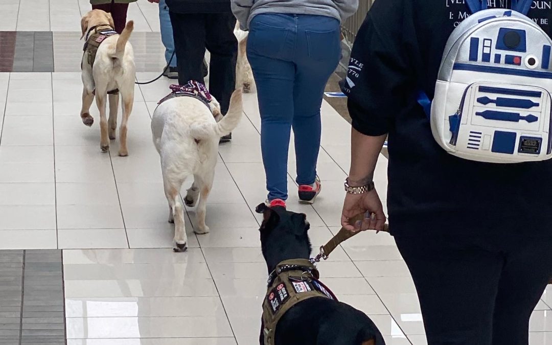 Training at Galleria Mall