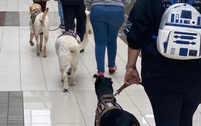 Training at Galleria Mall