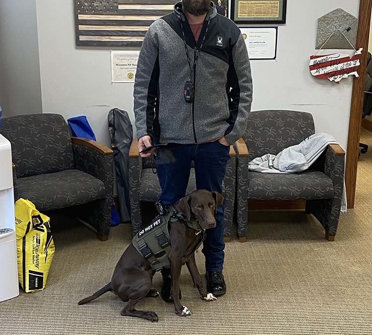 Meet another graduate of Pawsitive for Heroes