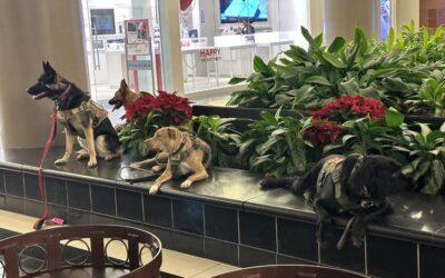 Training for Public Access at Walden Galleria Mall