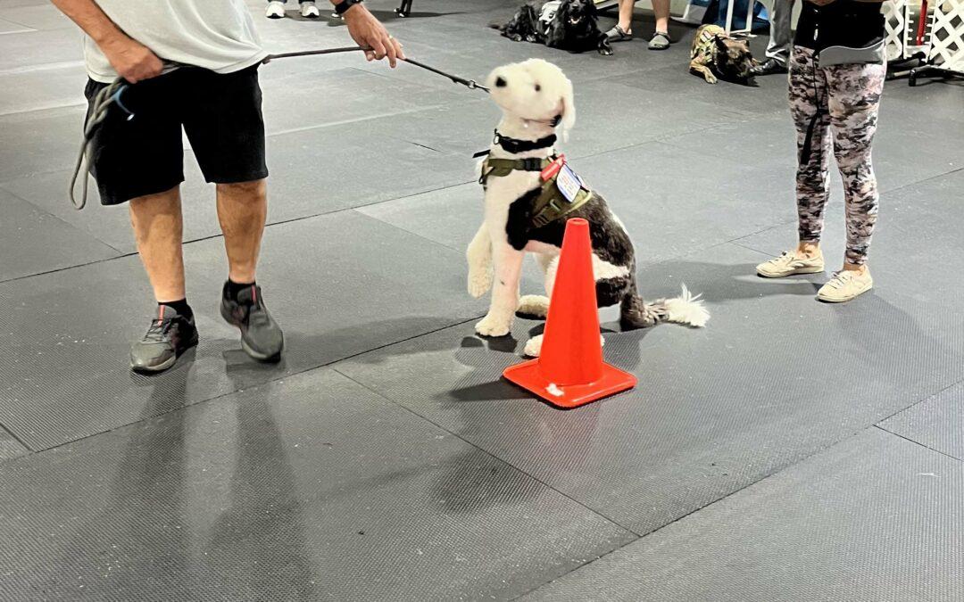 Service dog refresher class – August 2023