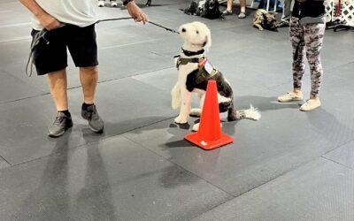 Service dog refresher class – August 2023
