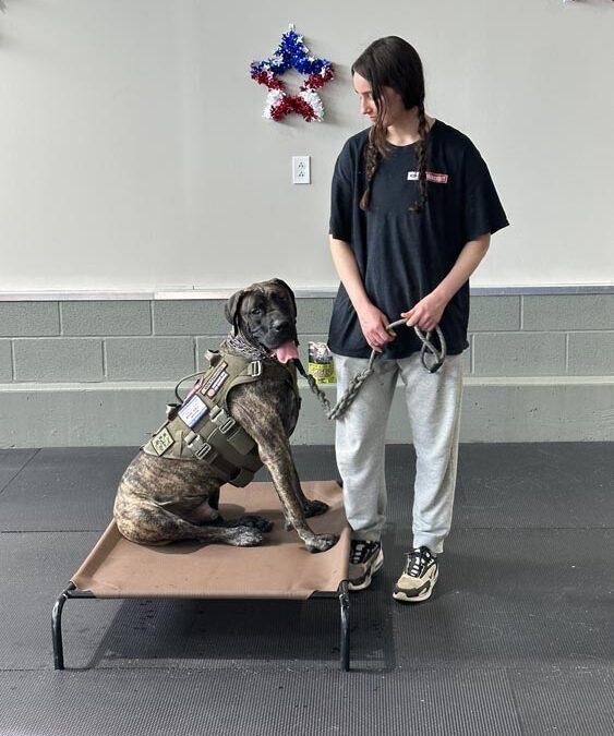 Corrections Facility Dogs Graduate 2023