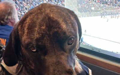 Sabres Night Reunion with team dogs Rick, Nikki and Blue