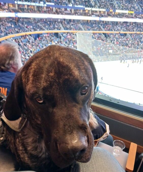 Sabres Night Reunion with team dogs Rick, Nikki and Blue