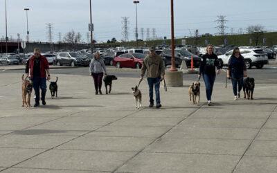 CGCU and American Working Dog Training