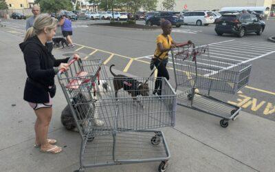 Our service dogs continue their public access training with our friends from BJ’s