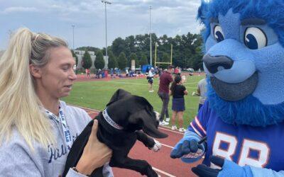 Buffalo Bills Training Camp 2024