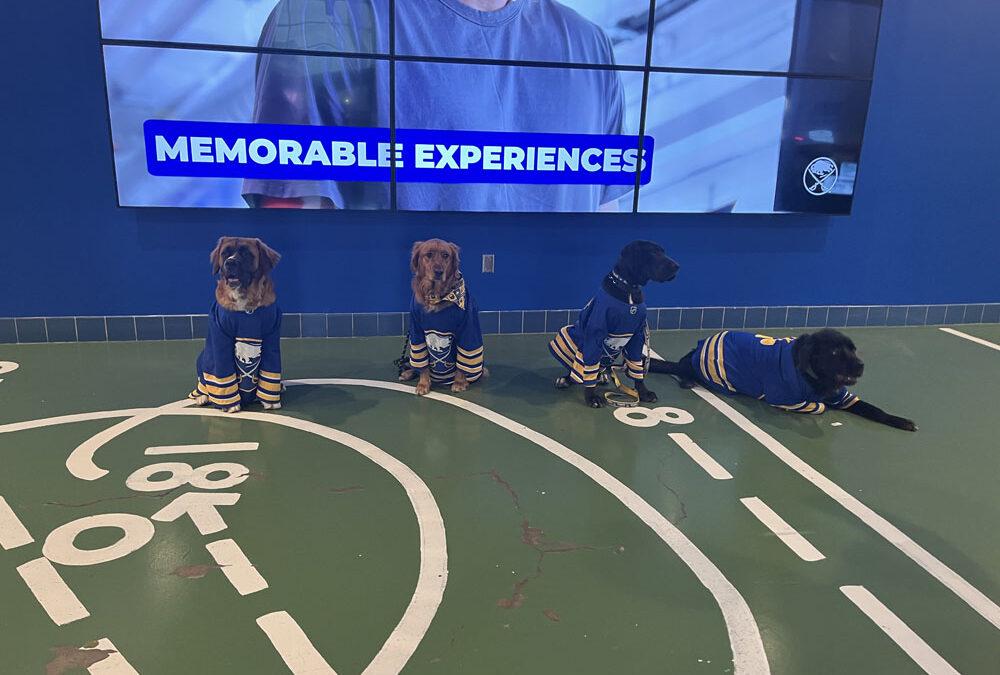Sabres team dogs from all four seasons have team reunion for Military Appreciation Night. 