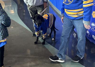 Dog on a leash in a bright room with a jersey next to two people