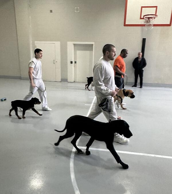 Meet our class of 2024-25’ currently inside the Niagara County Correctional Facility