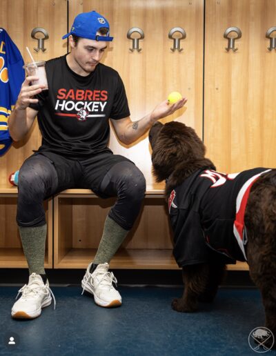 A Buffalo Sabres player wearing a black “SABRES HOCKEY” t-shirt and blue cap sits on the locker-room bench holding an iced coffee in one hand and a yellow tennis ball in the other while Mac, a fluffy brown Newfoundland puppy in a black Sabres jersey with “MAC” on the back, looks up eagerly at the ball.