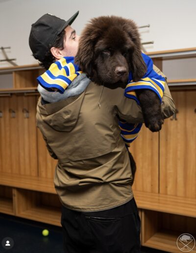 A person in a tan jacket holds fluffy brown Newfoundland puppy Mac up to their face for a kiss; Mac is dressed in a blue-and-gold Buffalo Sabres jersey and looks relaxed in their arms inside the locker room.