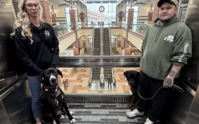 Walden Galleria Mall