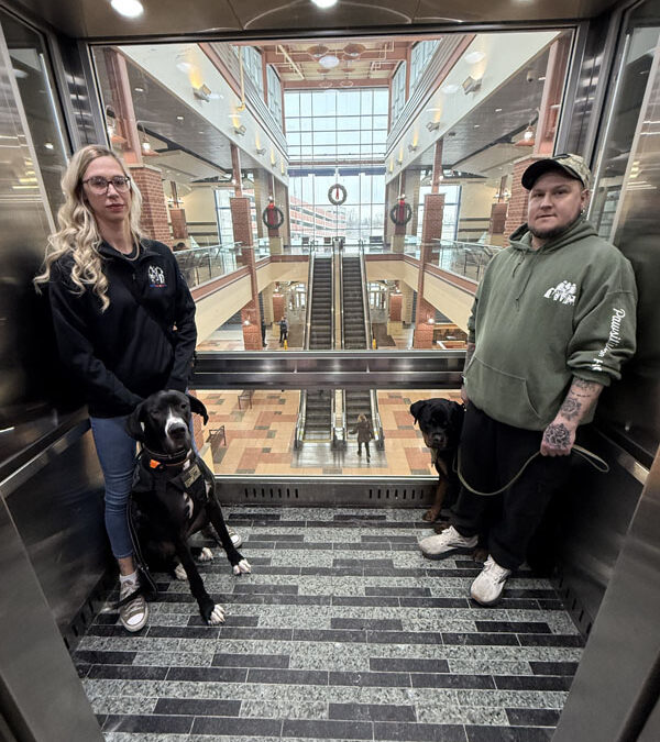 Walden Galleria Mall