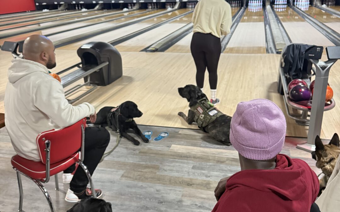 Pawsitive for Heroes service dog training stepping up its technique and training real life situations. 