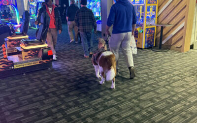 American Working Dog Certifications