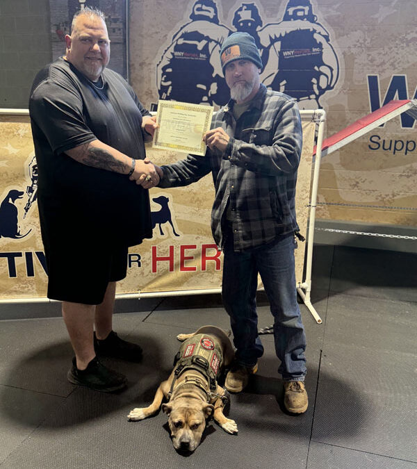 In partnership with American Working Dog 2026