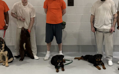 Teaching Service Dog Classes 2025 Niagara County Correctional Facility 