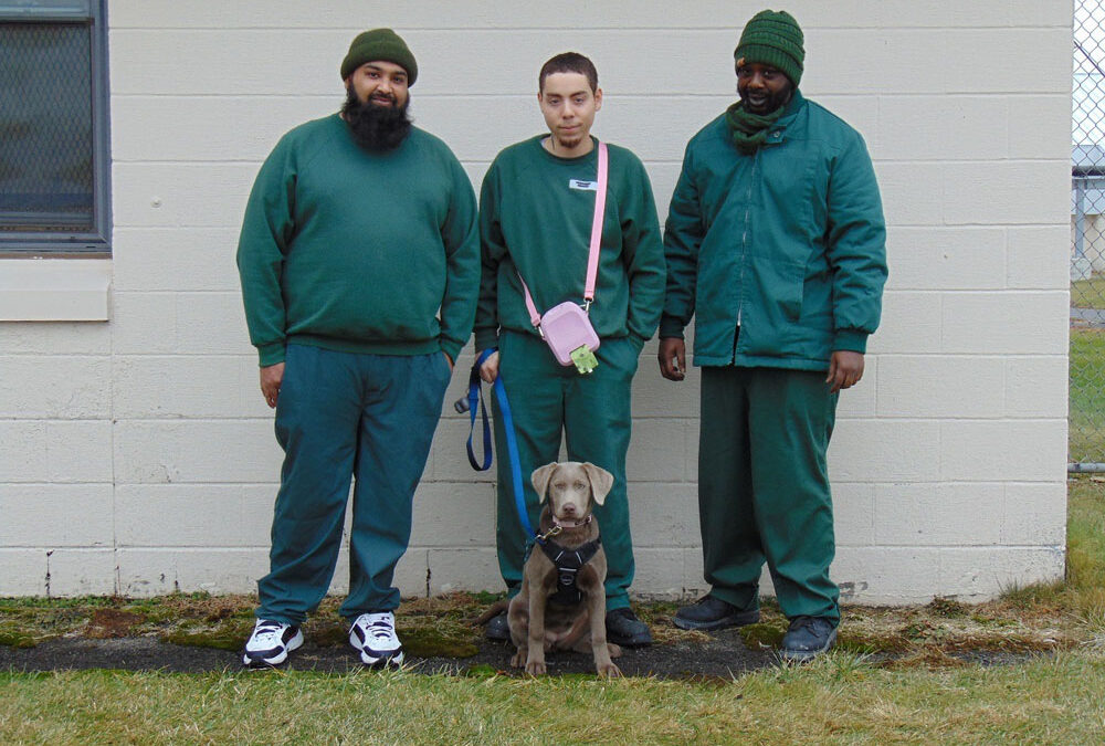 Greene Correctional Facility 2026