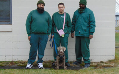 Greene Correctional Facility 2026