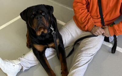 Niagara County Correctional Facility 2026