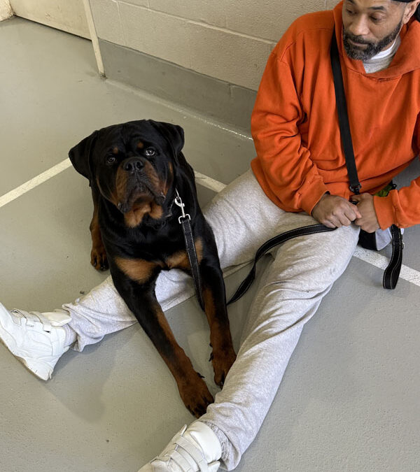 Niagara County Correctional Facility 2026