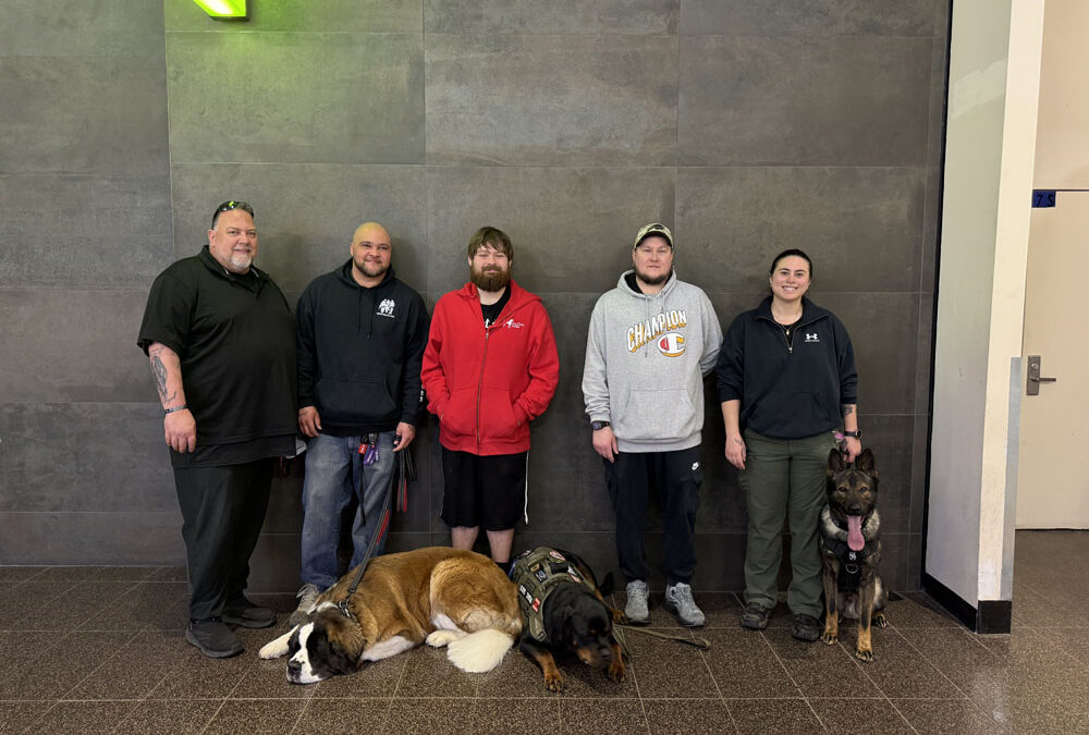 American Working Dog Certifications 2026