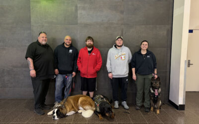 American Working Dog Certifications 2026