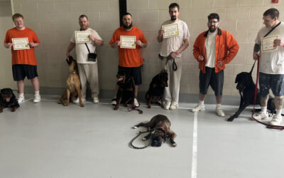 Niagara County Correctional Service Dog Classes 2025